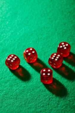 tamarabet Open tamarabet with clear Legal terms